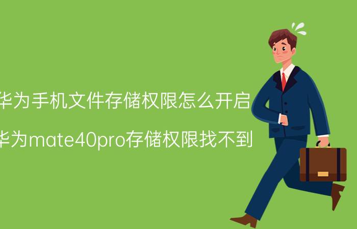 华为手机文件存储权限怎么开启 华为mate40pro存储权限找不到？